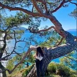 knauthbuyc34630's profile picture. 