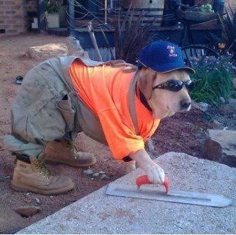 Donranaman's profile picture. Amo y señor de los mares, Isleño por derecho, bueno pal tinto y la lectura random, videojuegos, comics, mangas y literatura de ficción. Isla isla ra ra!!