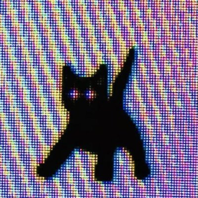 habibtwt_'s profile picture. I'm just persistent