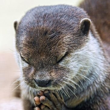 Hikutudayo's profile picture. モンハンとエペやってる人でごわす॑⸜(* ॑꒳ ॑*  )⸝⋆*
マイクラでshowさんを推しています॑⸜(* ॑꒳ ॑*  )⸝⋆*