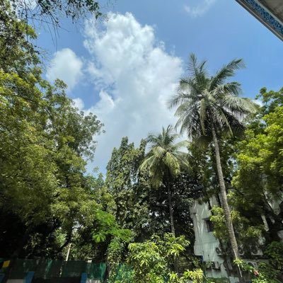 abdussamad40101's profile picture. 