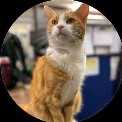 233_3Mark's profile picture. 