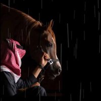 v.y (@iiiv9v) 's Twitter Profile