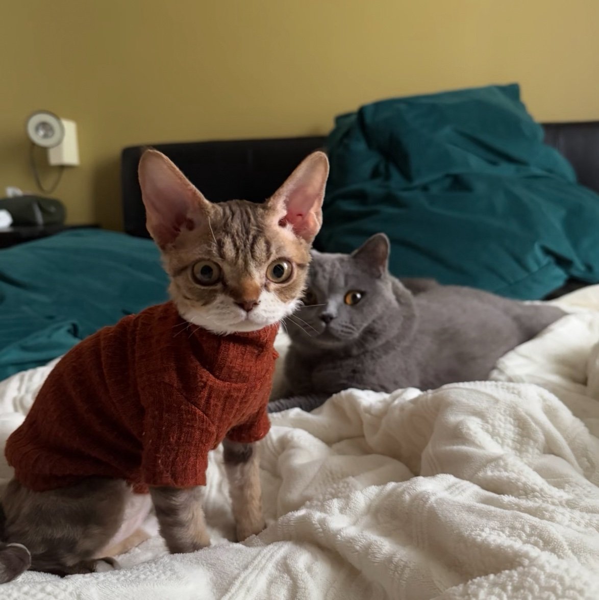 ogg1m's profile picture. 