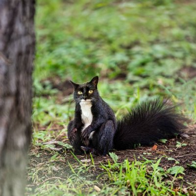 Simon316759's profile picture. Crypto enjoyer