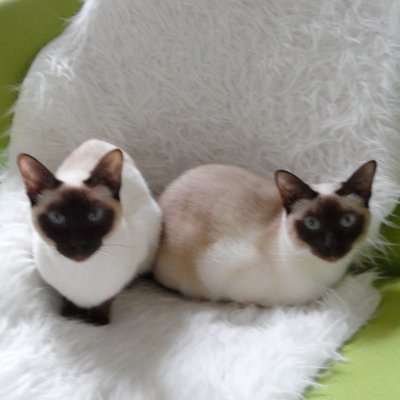 LindavandeVen's profile picture. Deskundig & onafhankelijk financieel adviseur - hypotheken & scheidingen - Drenthe