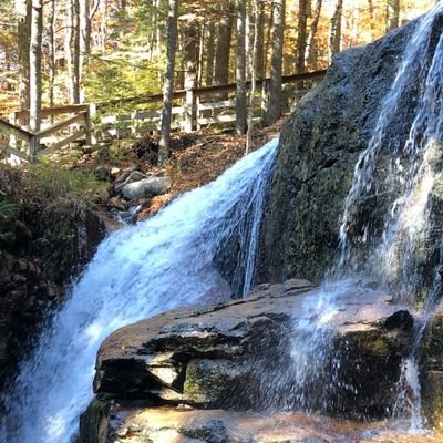 bostoniancskfan's profile picture. 