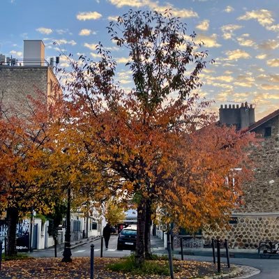 fraanccky's profile picture. 