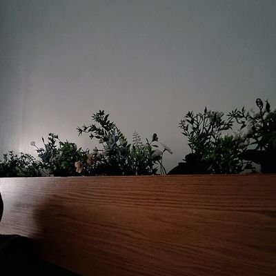 marwaadawey's profile picture. Intern Dentist 
🇸🇦|🇪🇬

The only thing we have to fear is fear itself 🤍