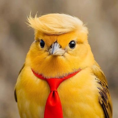 Lmcbeachlover's profile picture. MARRIED: Patriotic Christian ✝️ Trump 🚫DM’s 🚫COINS 🚫PORN= BLOCK #MAGA @lmcbeachlover on Truth