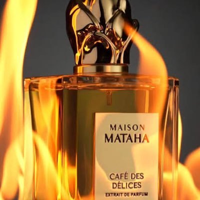 muscisim31's profile picture. 