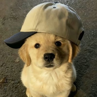 jc_bear421235's profile picture. 