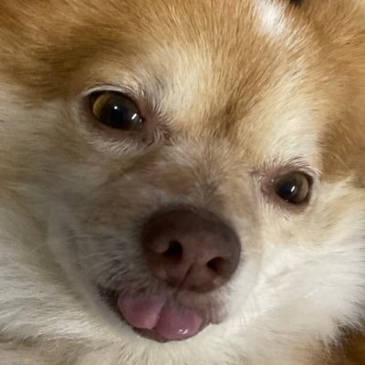 Padaluvdazx's profile picture. 🌊พาดา 18⭡