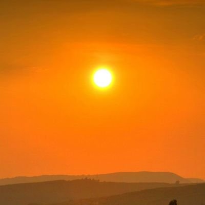 rahibhargava's profile picture. ll Politics || Sarcasm || Cricket 

Co-founder @youngbrigade1