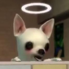 ddorriyam's profile picture. 전아프리카가잘어울리는사람이에요