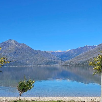 KomorebiCharts's profile picture. 