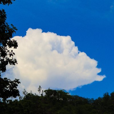 Beerzaaaa's profile picture. タイ人🇹🇭『お豆腐組』🧳Traveler&Gamer🎮 ไทย/English/日本語🙆🏻🆗 Beer🩷Aoae @aeaochan