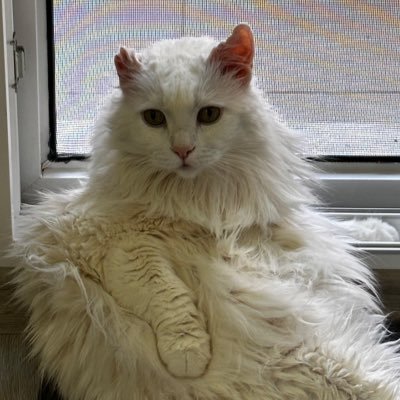 berfuamadegil's profile picture. bu profil: şarap sever, erko savar, kadın savunur.