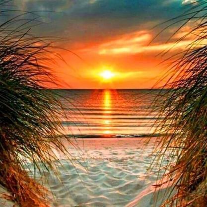 GilsonL40943810's profile picture. 