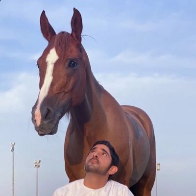 F3Bin5680's profile picture. I'm not a perfect friend. I can make mistakes anytime. Therefore, I love those people who still stay with me after knowing my real personality.