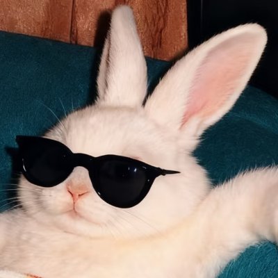 zzz553355739576's profile picture. Oppose  wars,Borderline Personality Disorder, severe psychological trauma