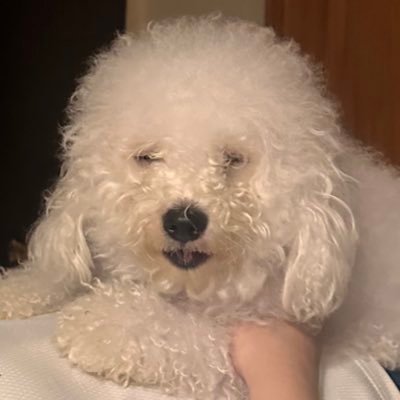 asherkeee's profile picture. 