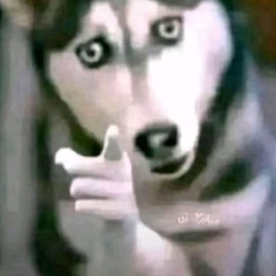 nycbottomb68157's profile picture. l