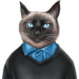 Siameso's profile picture. 