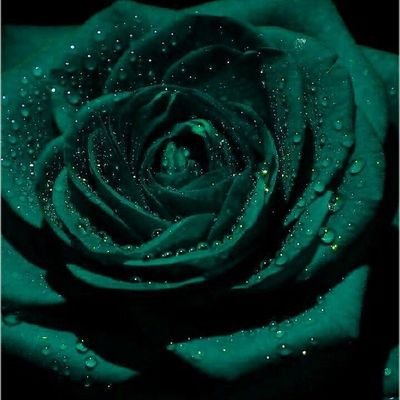 Jan_Dec11's profile picture. ♡(≧ ◡ ≦)♡คลั่งรักพี่มาย ♡(≧ ◡ ≦)♡tlefirstone♡(≧ ◡ ≦)♡