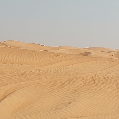 Ijazayyub's profile picture. 