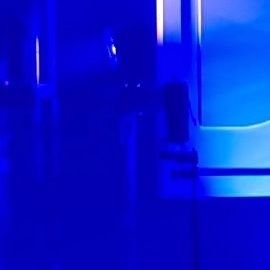 A8140831548856's profile picture. 大学生、独り言