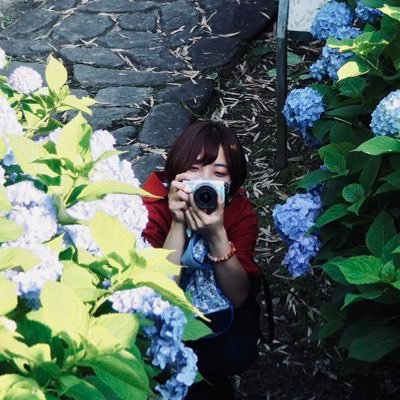 SkyWolf_Pi0824's profile picture. hikari | 99" (25)   🇯🇵:gunma