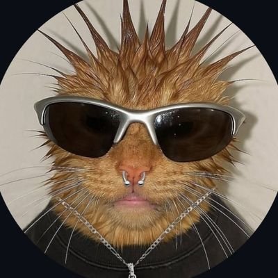 thephanny0_0's profile picture. Feiticeira freelance, Polibruxa