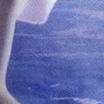 wtfcomoassim's profile picture. Ninguém conseguiu entender porquê ele disse não

@cchocobunny ❤