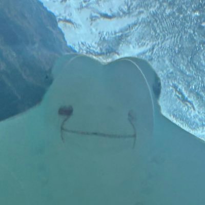 oixi_una9i's profile picture. 成人済/ROM垢