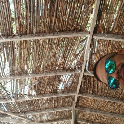 bigtrunk69's profile picture. 