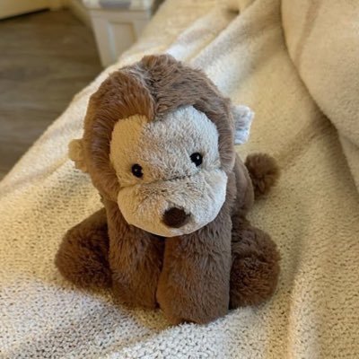 akuariumini's profile picture. shades of romance