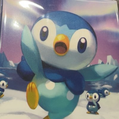 Chatnoir_PoK's profile picture. ポケモン用アカウント コオリッポ推し