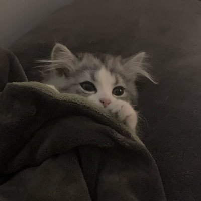 0_0nmn3's profile picture. 