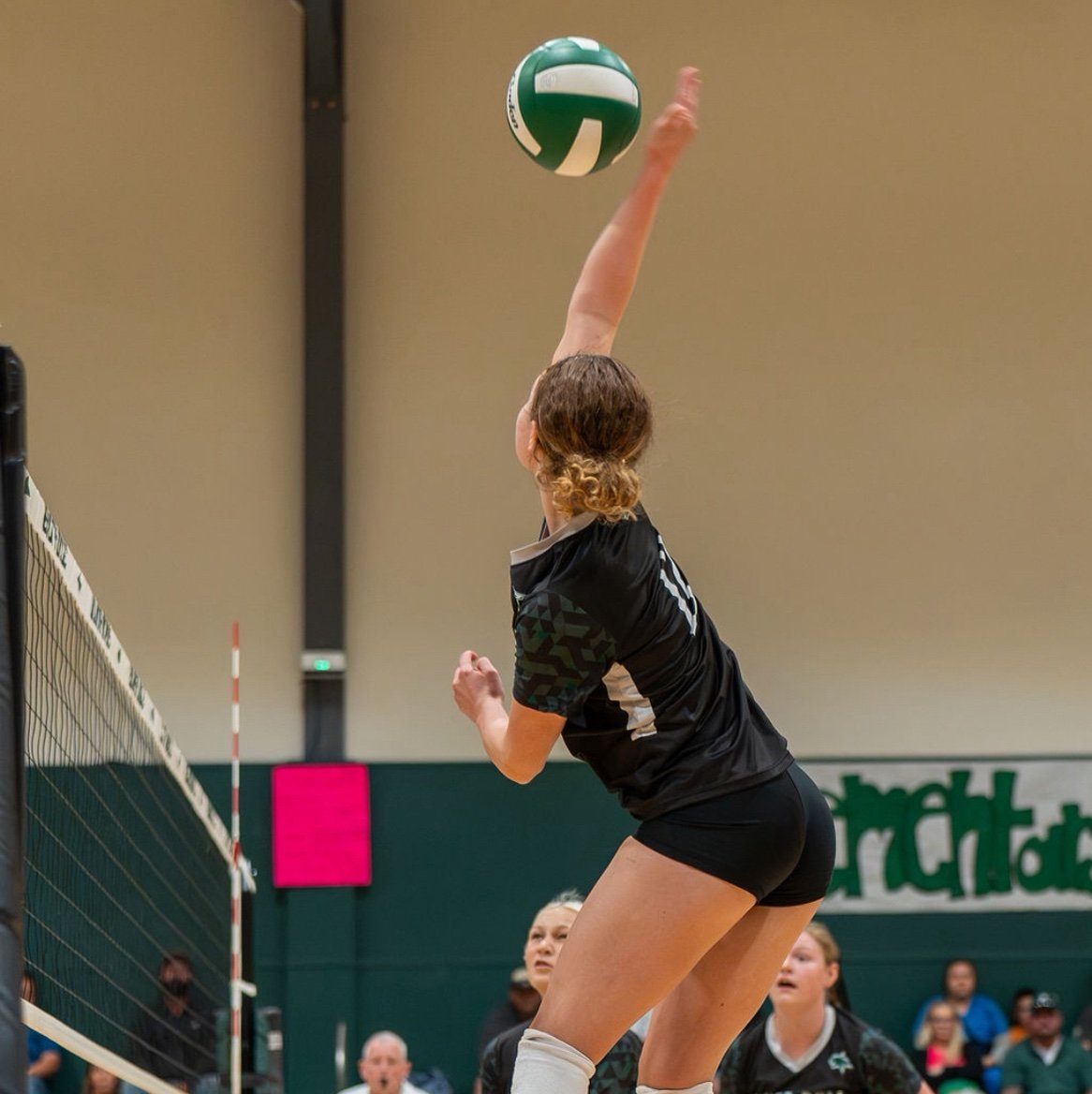 Lilly_volleyb's profile picture. #12 -District MVP x2 -1st team district -3rd team all state outside Hitter|| paxtonlilly56@gmail.com