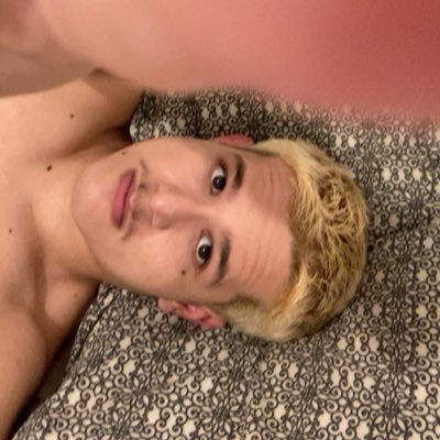 all_anillusion's profile picture. no puedo estoy muerto