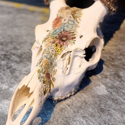 seiya250515's profile picture. 素材愛。机と外を往復。
触れたものだけ、少し残します。