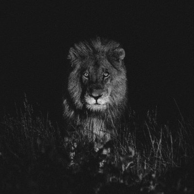 adf22424cd9545f's profile picture. 