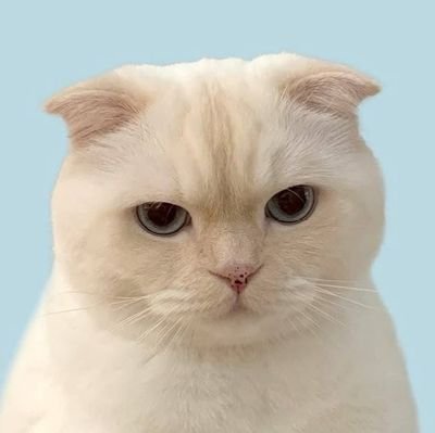 J1vR0FrnR487797's profile picture. 雑多／ツイステ🔰／ハズビン🏩💗