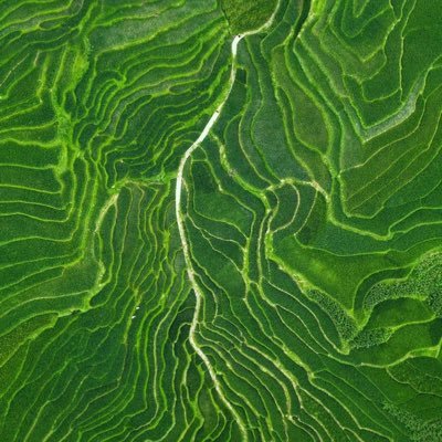 shengjingjihe's profile picture. 