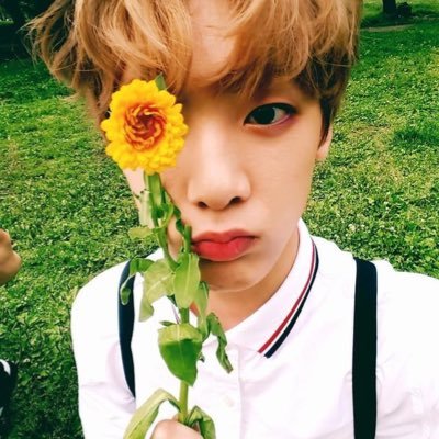 fishbreadnwoo's profile picture. eu, sanha e moonbin jogando lol @offclASTRO