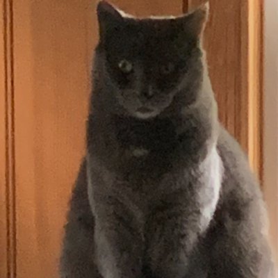 Decoding380's profile picture. 