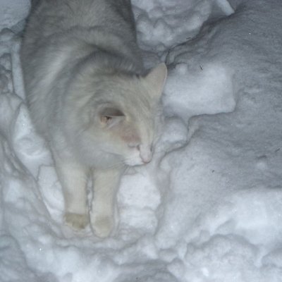 fm_jori's profile picture. manager, editor // 18 // 🇩🇴 afro dominican // joyconboyz, love all