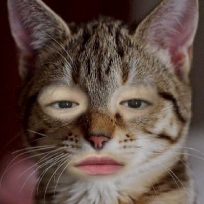 Naniii1003's profile picture. 