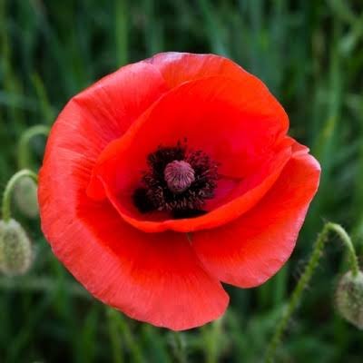 PandaLee_7's profile picture. I've 2 Daughters 

Huddersfield Town
New England Patriots
Huddersfield Giants
Most Music
FOO FIGHTERS
YouTube
Gaming
All the things that I Love